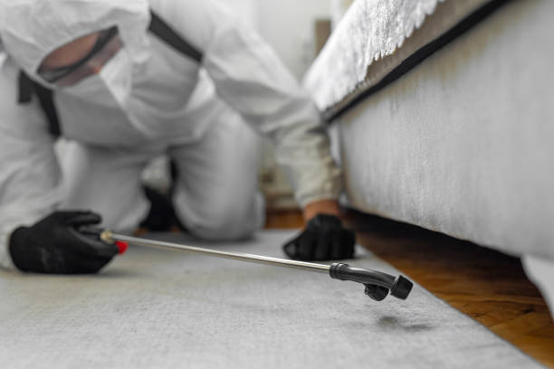 Professional Bed Bug Control technician working in Columbia County County, WI